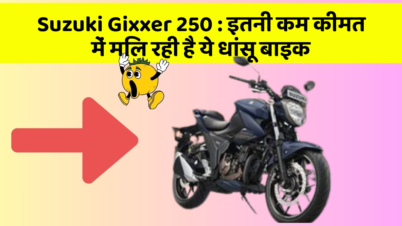 Suzuki Gixxer 250 : इतनी कम कीमत में मिल रही है ये धांसू बाइक